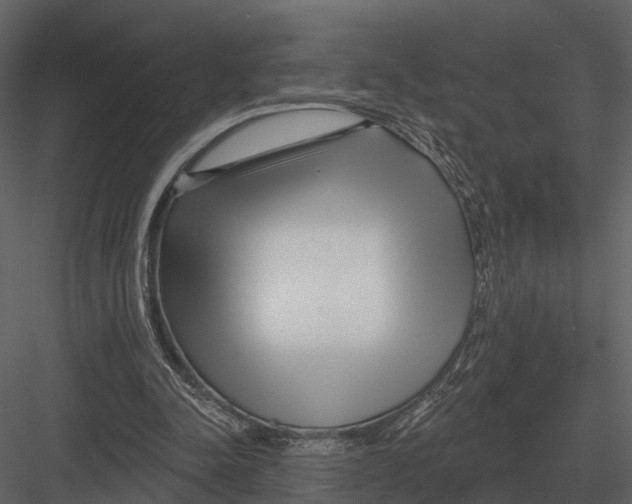 X0000082930342200702222225