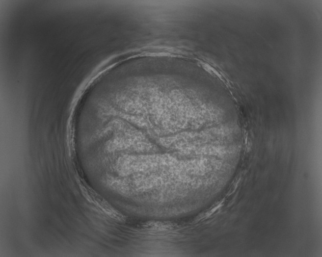 X0000082930343200702222225