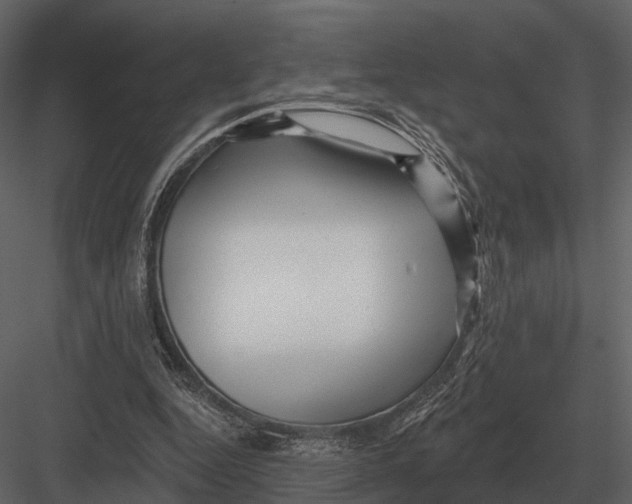 X0000082930344200702222225