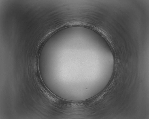 X0000082930345200702222225