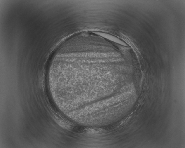 X0000082930346200702222225