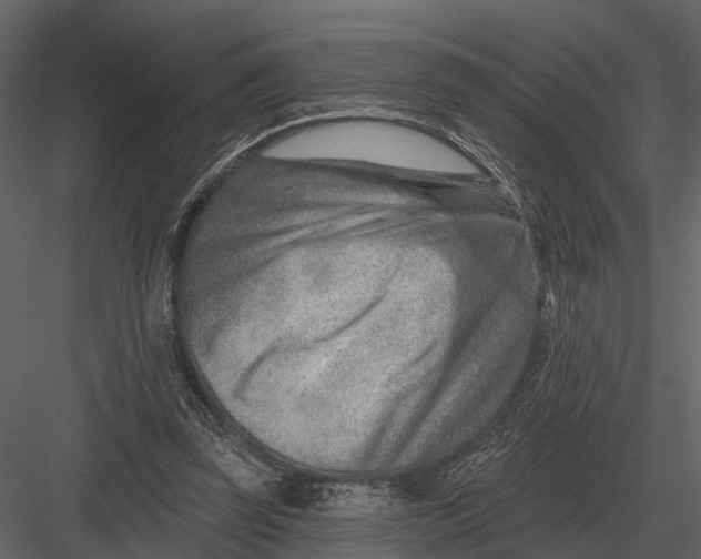 X0000082930347200702222225