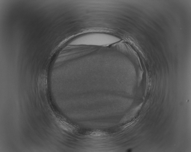 X0000082930348200702222225