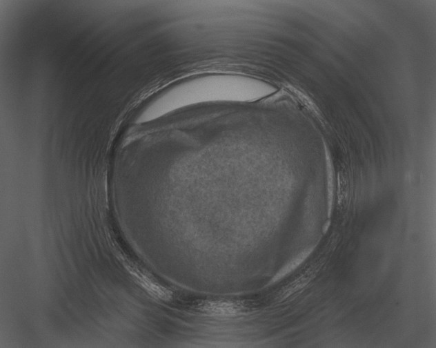 X0000082930349200702222225