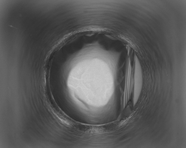 X0000082930350200702222225