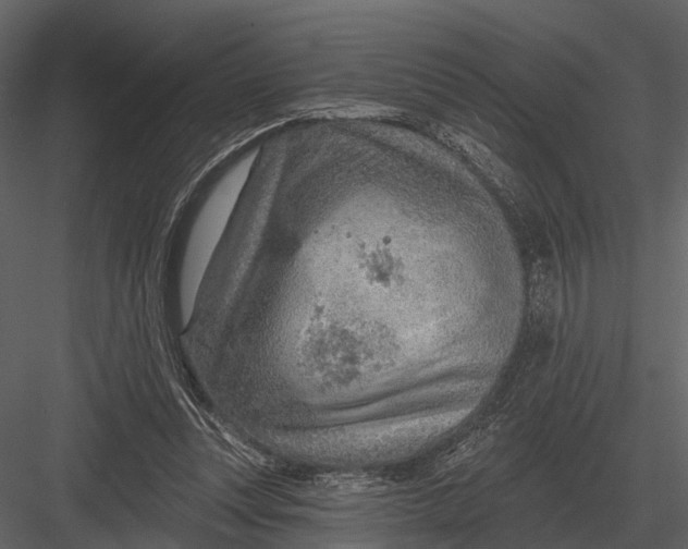 X0000082930351200702222225