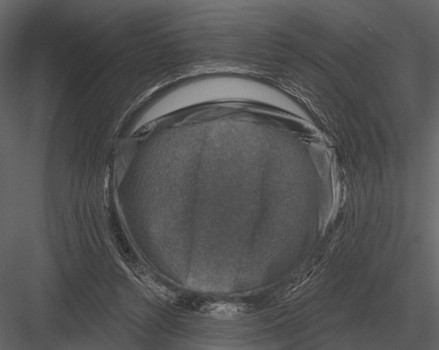 X0000082930352200702222225