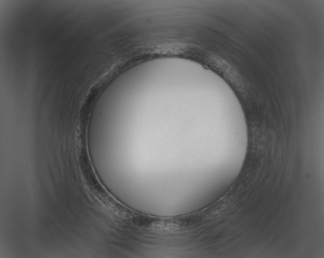 X0000082930354200702222225