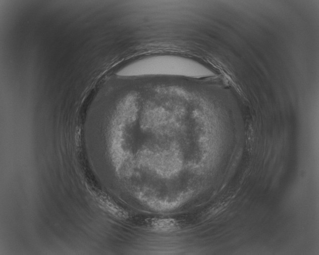 X0000082930355200702222225