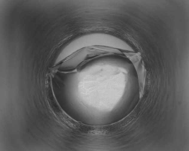 X0000082930356200702222225