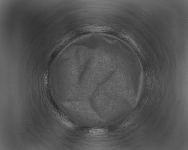 X0000082930357200702222225