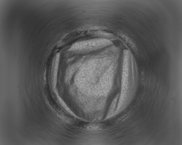 X0000082930358200702222225