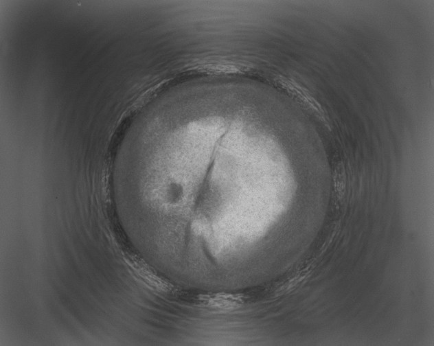 X0000082930359200702222226