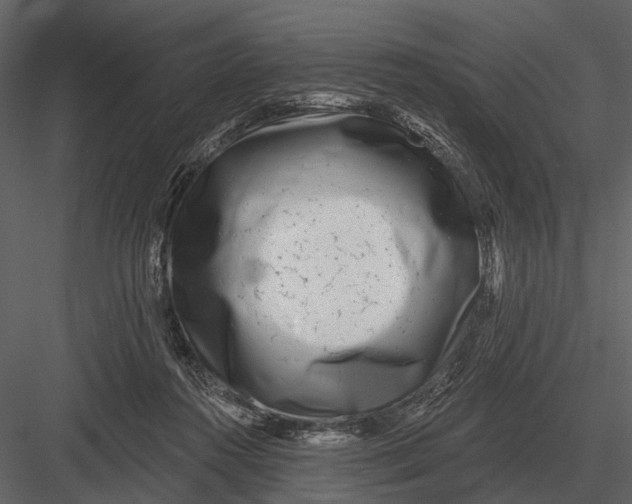 X0000082930360200702222226