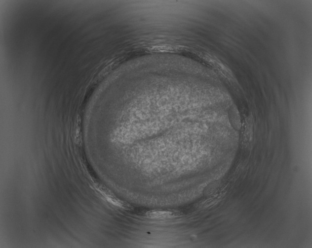 X0000082930361200702222226