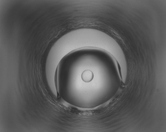 X0000082930362200702222226