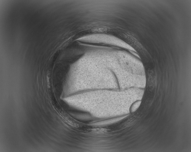 X0000082930363200702222226