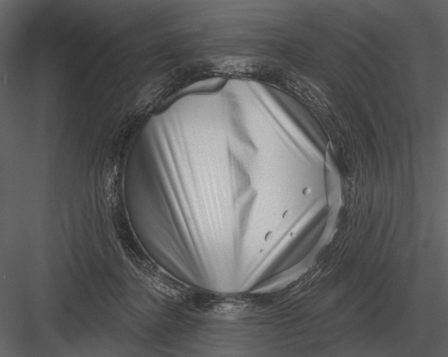 X0000082930364200702222226