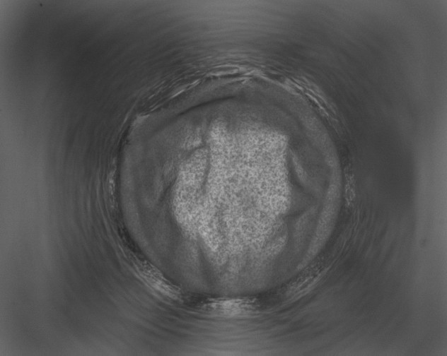 X0000082930365200702222226