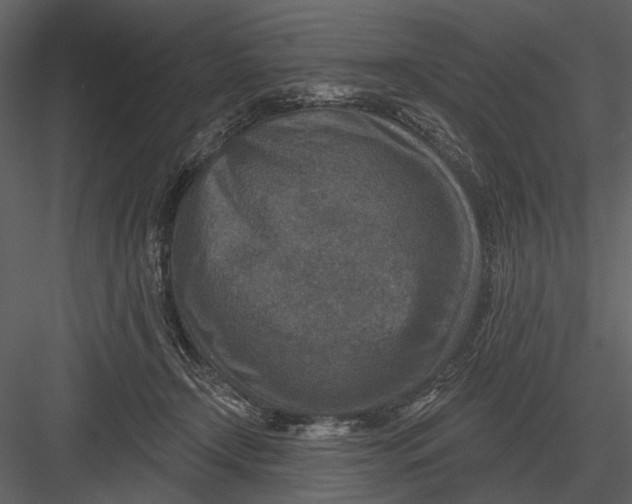 X0000082930366200702222226