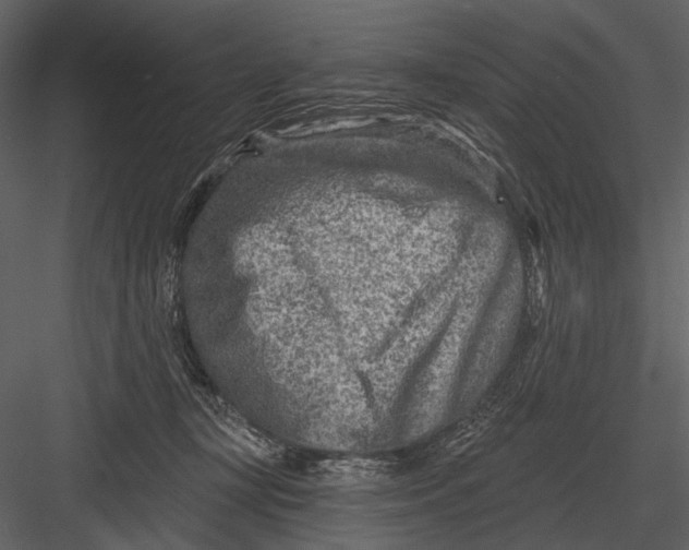 X0000082930367200702222226