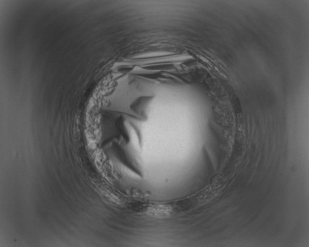 X0000082930369200702222226