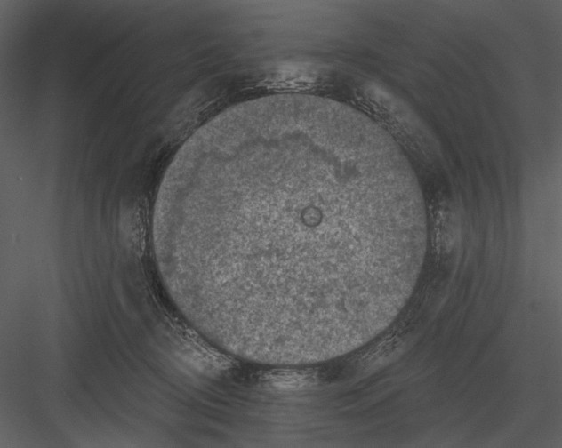 X0000082930370200702222226