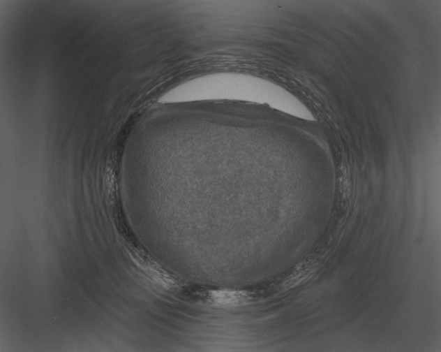 X0000082930371200702222226