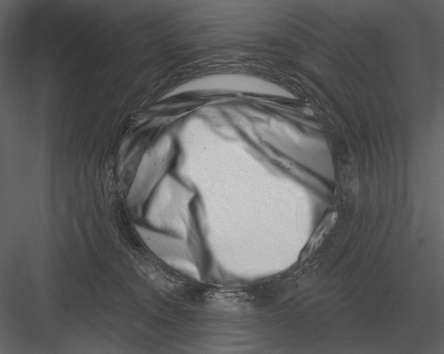 X0000082930372200702222226