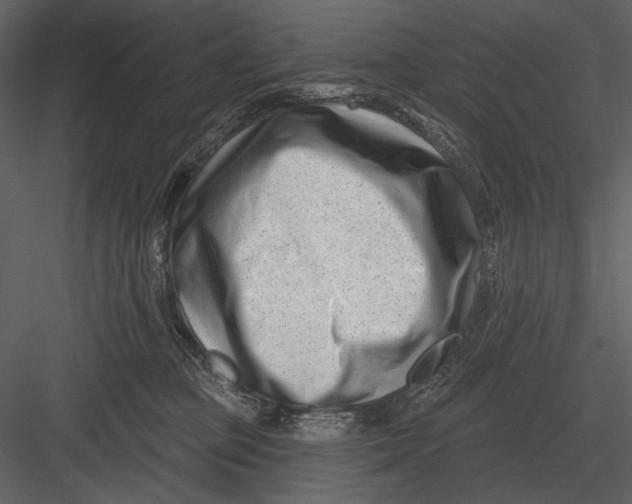 X0000082930373200702222226