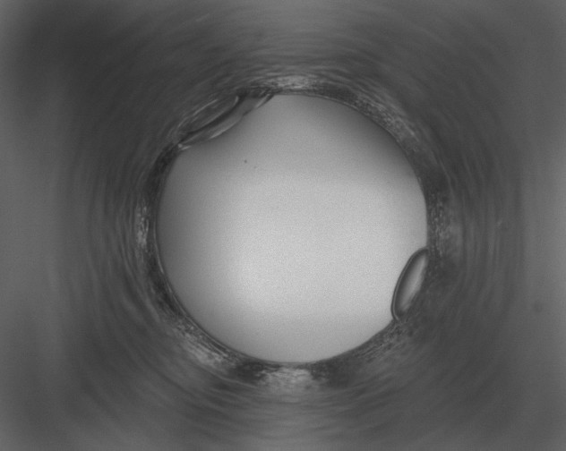 X0000082930374200702222226