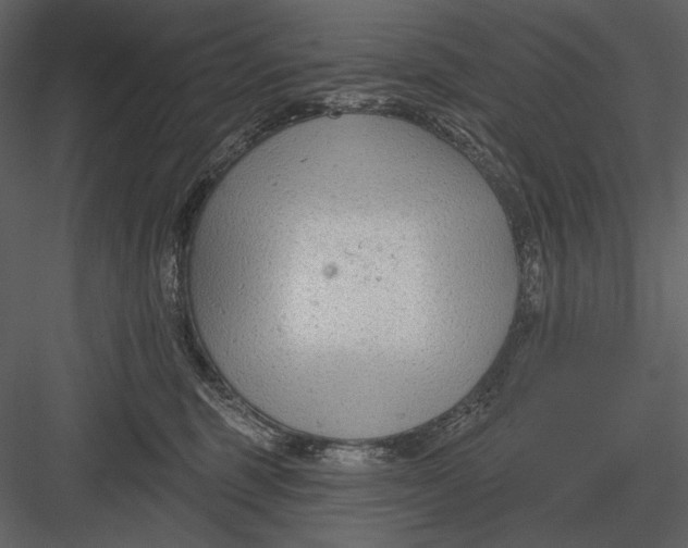 X0000082930375200702222226