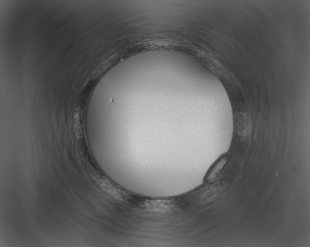 X0000082930378200702222226