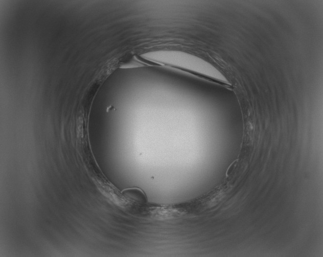 X0000082930379200702222226