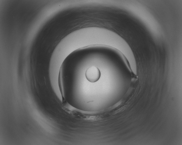 X0000082930382200702222226