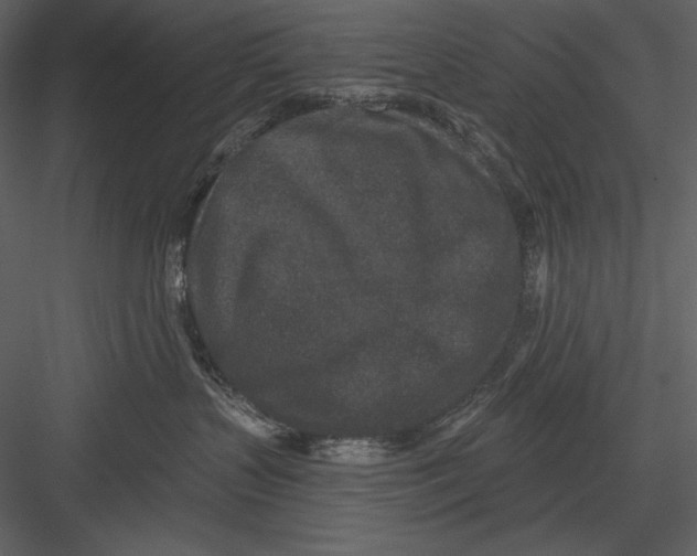 X0000082930383200702222226