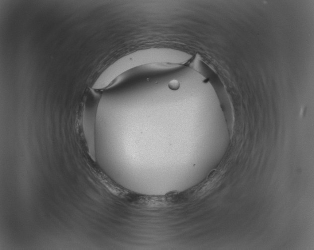 X0000082930384200702222226