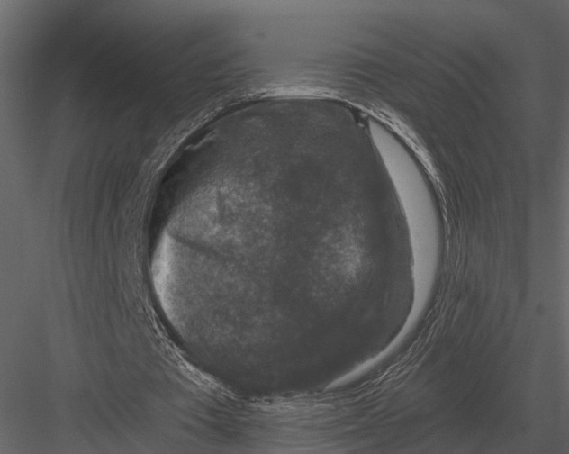 X0000082930385200702222225