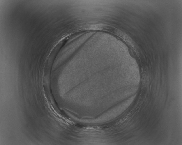 X0000082930386200702222225