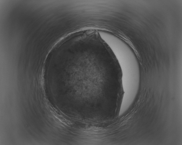 X0000082930387200702222225