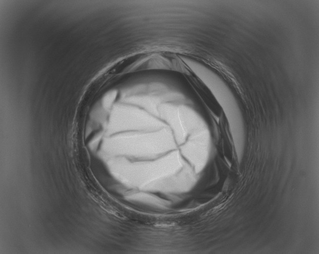 X0000082930388200702222225