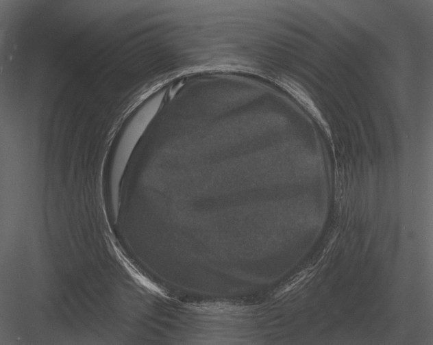 X0000082930389200702222225