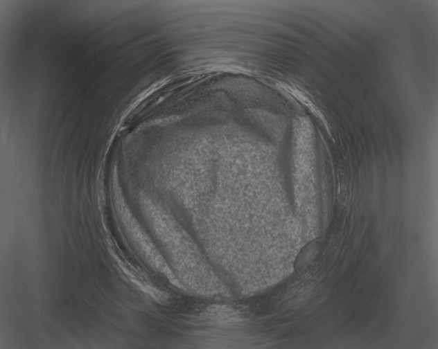 X0000082930390200702222225