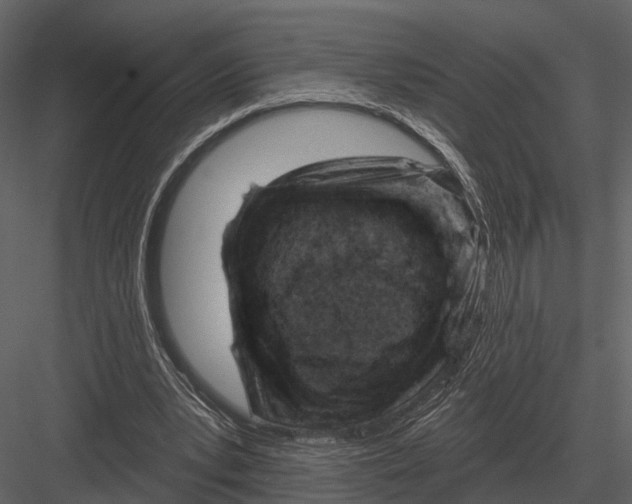 X0000082930391200702222225