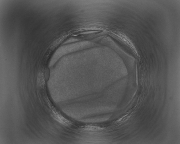 X0000082930393200702222225