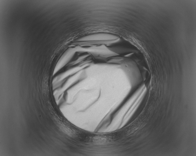 X0000082930394200702222225