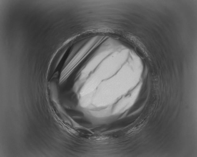 X0000082930395200702222225