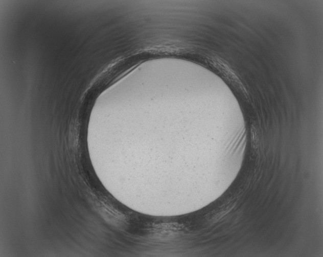 X0000082930396200702222225