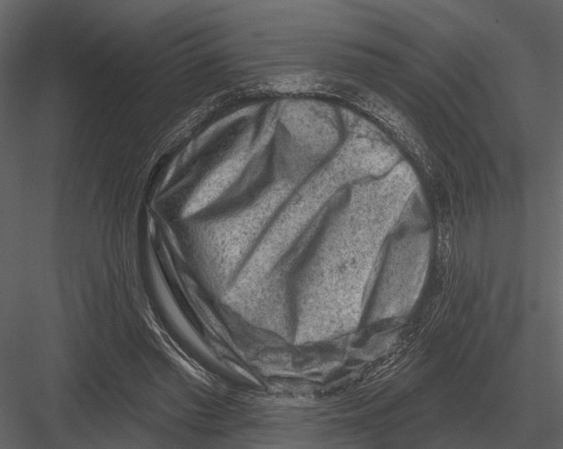 X0000082930397200702222225