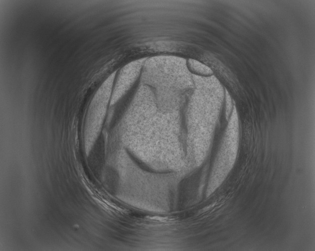 X0000082930398200702222225